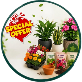 Special Offers